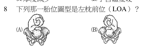第 8 題（含圖）