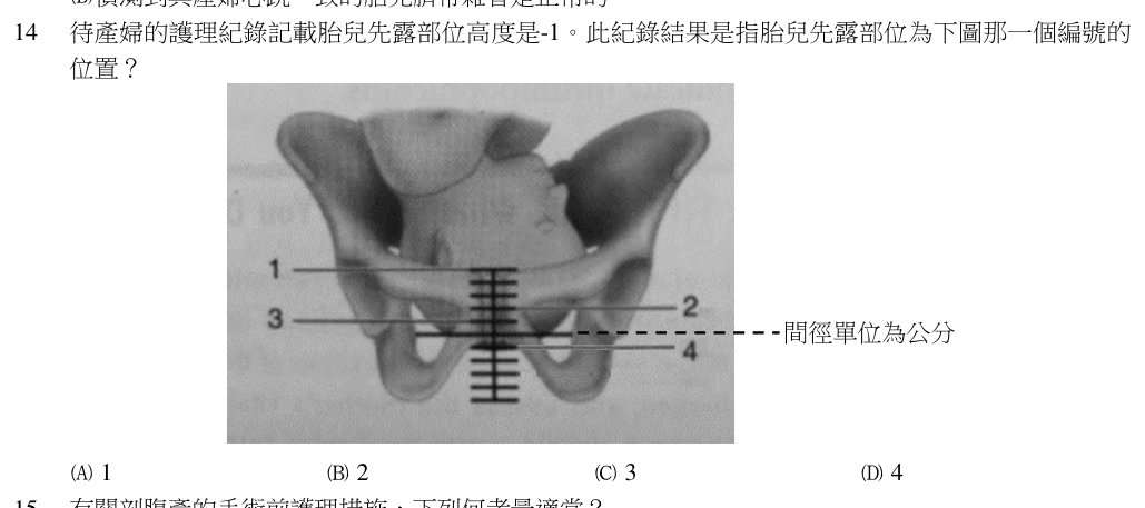 第 14 題（含圖）